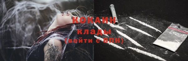 ПСИЛОЦИБИНОВЫЕ ГРИБЫ Алексин