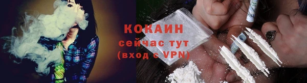 ПСИЛОЦИБИНОВЫЕ ГРИБЫ Алексин