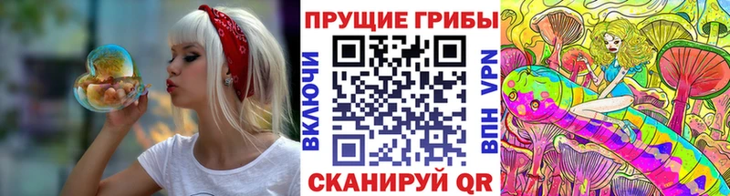 Галлюциногенные грибы мицелий  Петрозаводск 