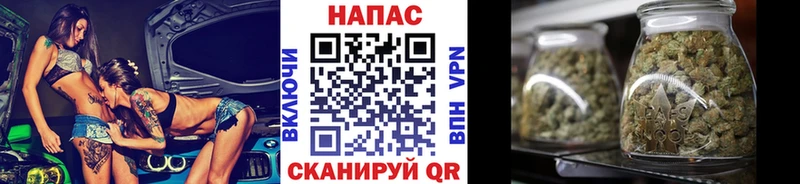 магазин продажи наркотиков  даркнет наркотические препараты  Бошки марихуана конопля  Петрозаводск 